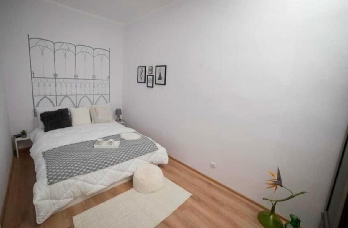 Charming Apartament City Center Timişoara Eksteriør billede